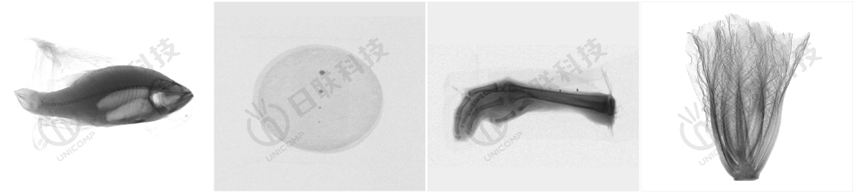 X-ray异物检测图-米兰·(milan)中国官方网站